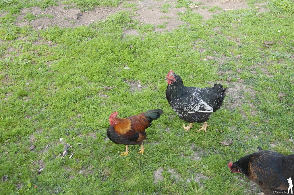 Fancornio Rural Βίλα Zancornio Δωμάτιο φωτογραφία